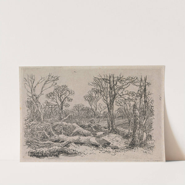 Felled Timber, Burningham by John Middleton