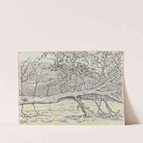 Felled Tree,Normandy by Georges Lacombe