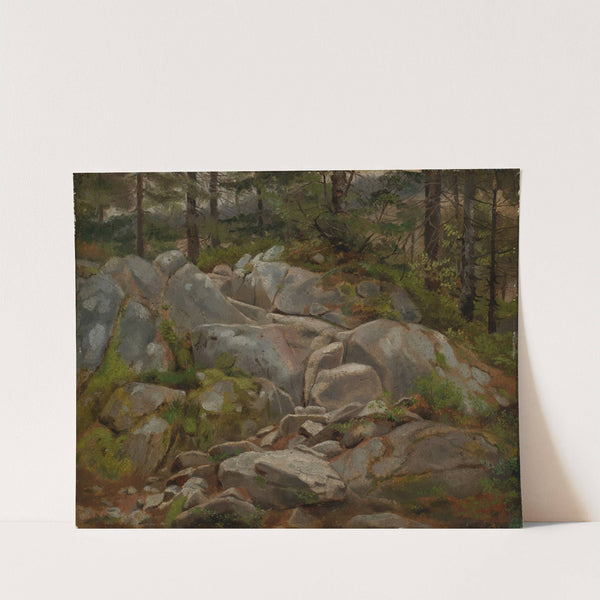 Felsblöcke mit Tannenstämmen (1861) by Hans Thoma