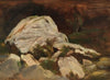 Felsen im Rabenauer Grund (1860.)