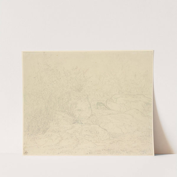 Felsen im Wald von Fontainebleau (1863) by Théodore Rousseau