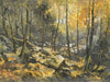 ‘Felsenmeer’