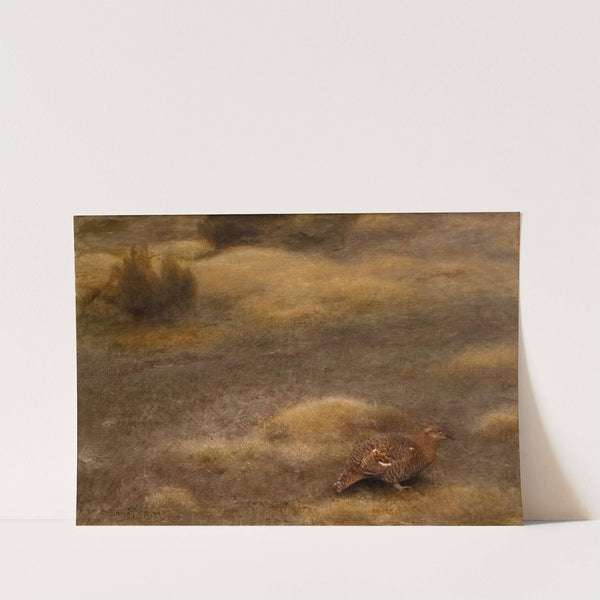 Female Black Grouse (1905) by Bruno Liljefors