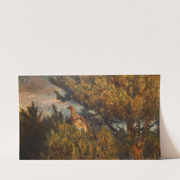 Female Capercaillie (1893) by Bruno Liljefors