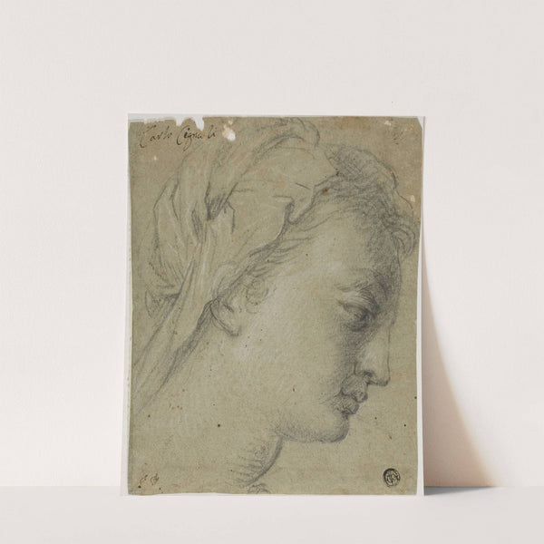Female Head in Profile to Right by Carlo Cignani