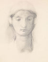 Female – Head Study from an Italian Model
