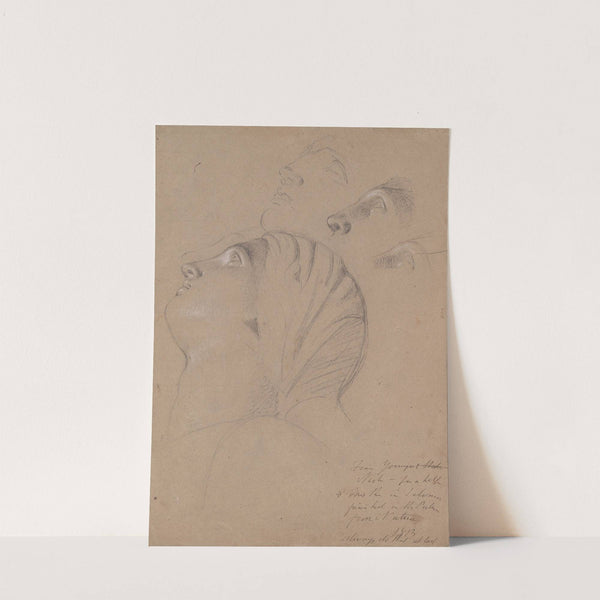 Female Head Study (Study for the Judgment of Solomon) by Benjamin Robert Haydon
