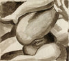 Female Nude
