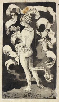 Female nude from behind
