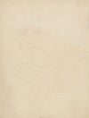 Female nude, reclining on back, knees raised, hands on feet