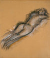 Femme nue couchée (1901)