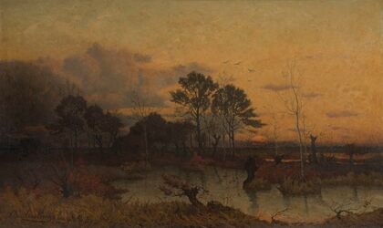 Fen in the Kempen