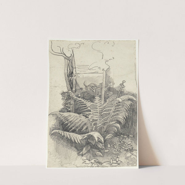 Fern by Richard Nicolaüs Roland Holst