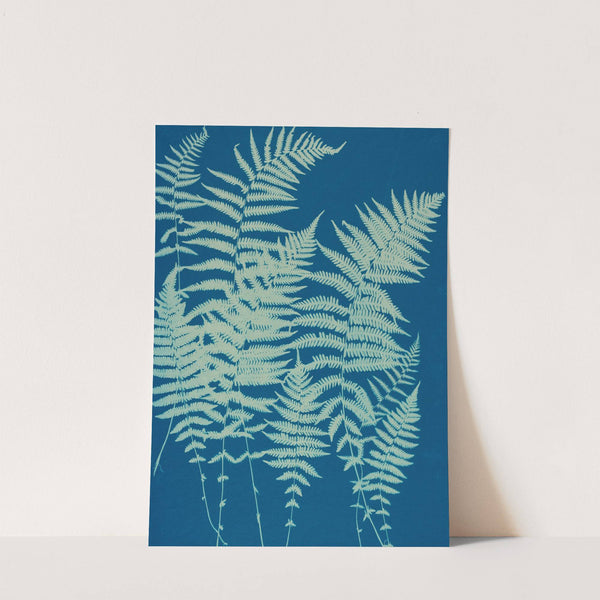 Ferns of Huntington, Long Island Pl.03 by Ella J. C. Hurd