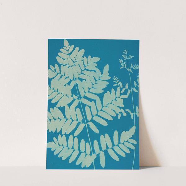 Ferns of Huntington, Long Island Pl.11 (1890-1900) by Ella J. C. Hurd