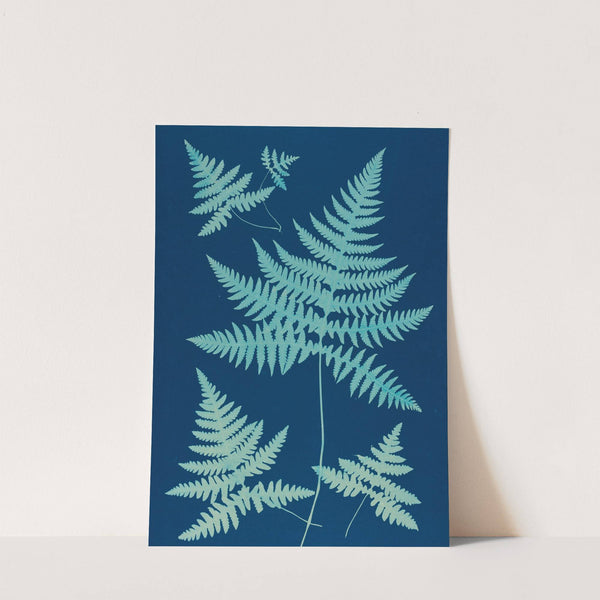 Ferns of Huntington, Long Island Pl.17 (1890-1900) by Ella J. C. Hurd