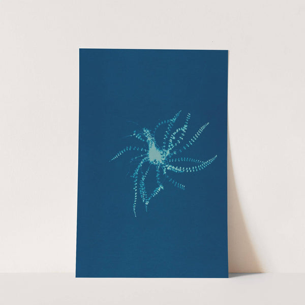 Ferns of Huntington, Long Island Pl.21 (1890-1900) by Ella J. C. Hurd