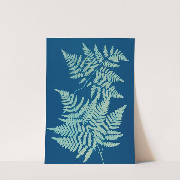 Ferns of Huntington, Long Island Pl.24 (1890-1900) by Ella J. C. Hurd