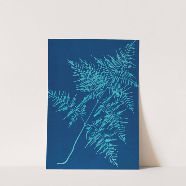 Ferns of Huntington, Long Island Pl.30 by Ella J. C. Hurd