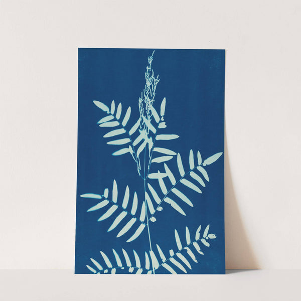 Ferns of Huntington, Long Island Pl.31 by Ella J. C. Hurd