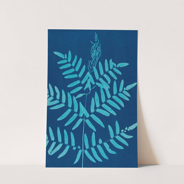 Ferns of Huntington, Long Island Pl.32 by Ella J. C. Hurd