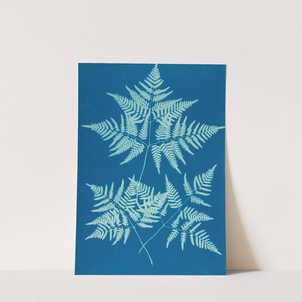 Ferns of Huntington, Long Island Pl.34 by Ella J. C. Hurd