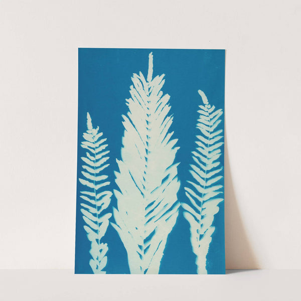 Ferns of Huntington, Long Island Pl.36 by Ella J. C. Hurd