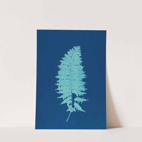 Ferns of Huntington, Long Island Pl.37 (1890-1900) by Ella J. C. Hurd