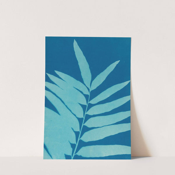 Ferns of Huntington, Long Island Pl.41 (1890-1900) by Ella J. C. Hurd