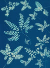Ferns of Huntington, Long Island Pl.42
