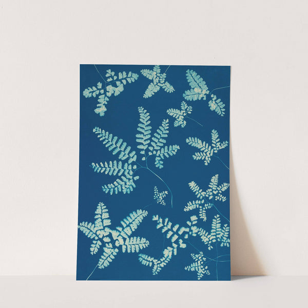 Ferns of Huntington, Long Island Pl.42 (1890-1900) by Ella J. C. Hurd