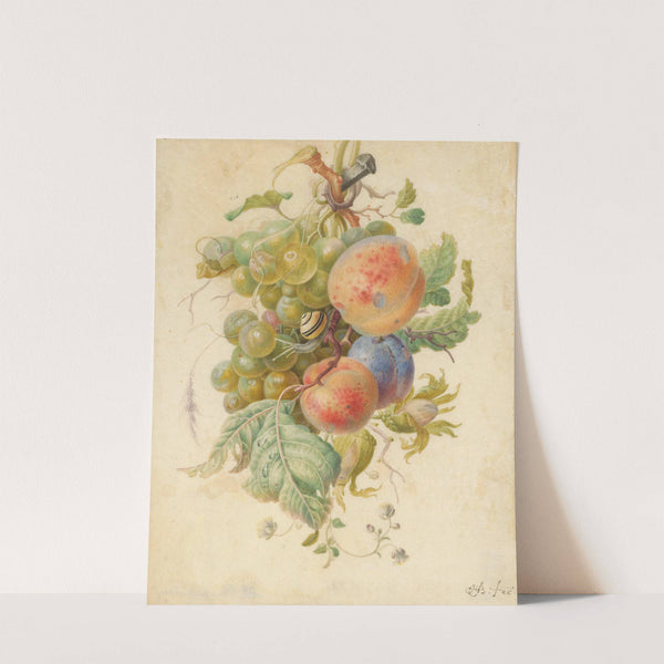 Festoen van vruchten by Herman Henstenburgh