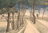 Field landscape. In the foreground a road with trees