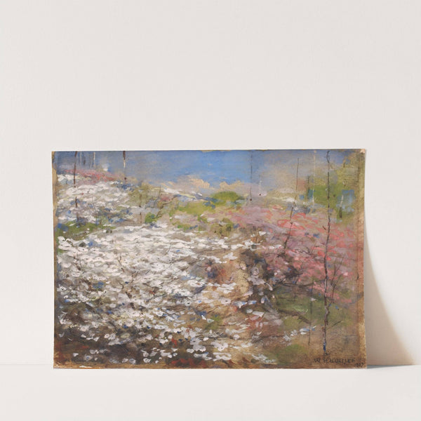 Field Of Blossoms by William Henry Holmes