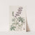 Field Peruvian Lupine by Sydenham Edwards