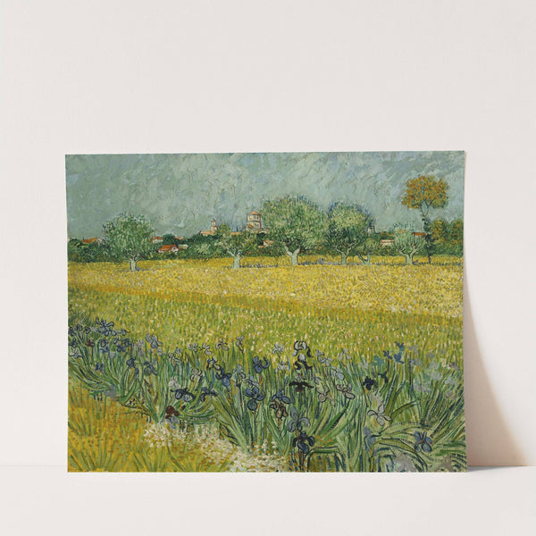 Field with flowers near Arles (1888) by Vincent van Gogh