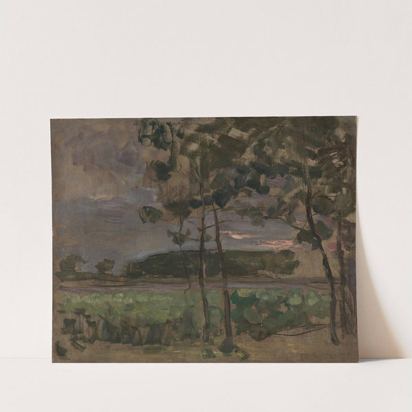 Field with Young Trees in the Foreground by Piet Mondrian