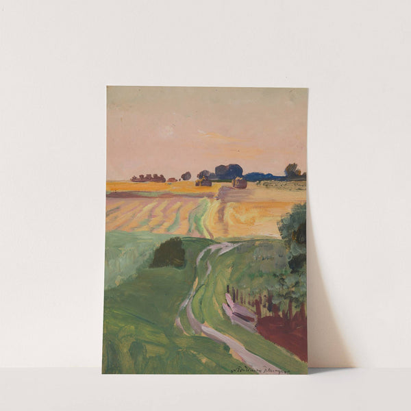 Fields and Cereals Studies by Włodzimierz Tetmajer