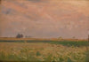 Fields near Bronowice