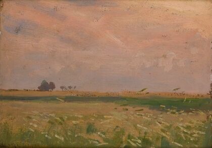 Fields near Bronowice