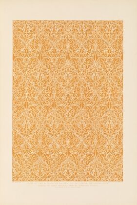 Fifteenth century Italian ornament Pl.13