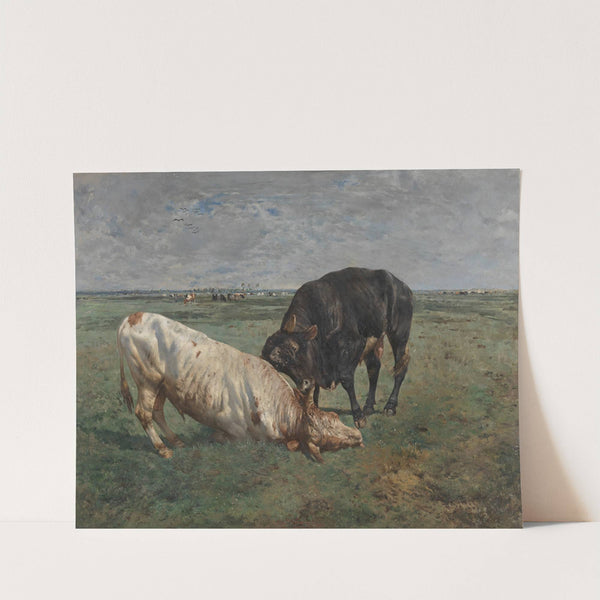 Fight between two young bulls by Alfred Verwee