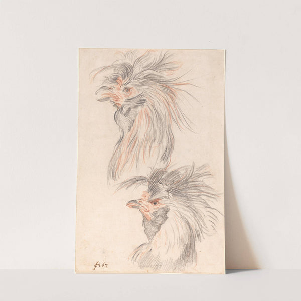 Fighting Cock by Johann Rudolph Schellenberg