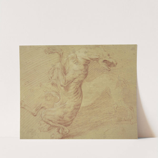 Fighting dogs by Frans Snyders