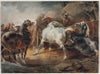 Fighting Horses
