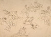 Figure Studies