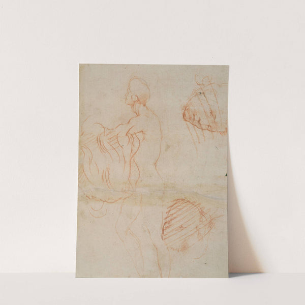 Figure Study and Face (1522–1526) by Andrea del Sarto