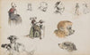 Figuur- en dierstudies
