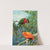 Fijian lory and orange dove (1929-1932) by Allan Brooks
