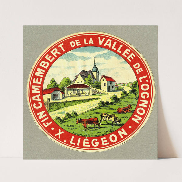 Fin camembert de la vallée de l’Ognon